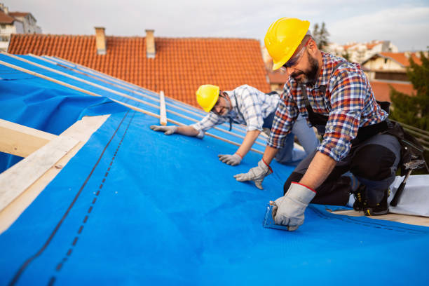 Best Emergency Roof Repair  in Wauseon, OH