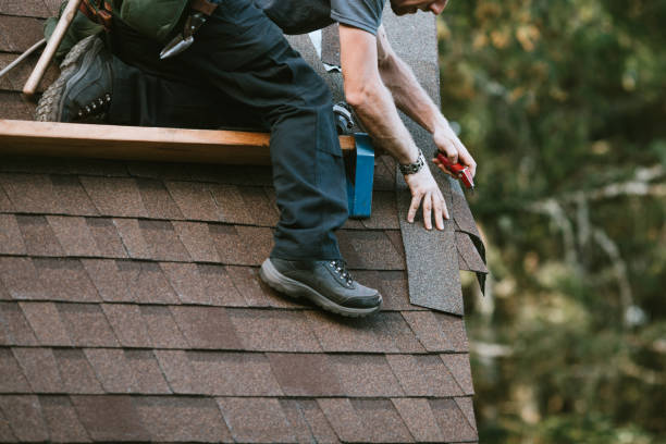 Best New Roof Installation  in Wauseon, OH