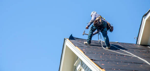 Best Roof Gutter Cleaning  in Wauseon, OH